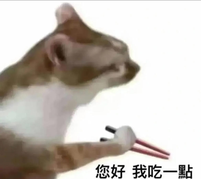【網路迷因】你好我吃一點是什麼梗?貓咪拿筷子系列梗圖分享